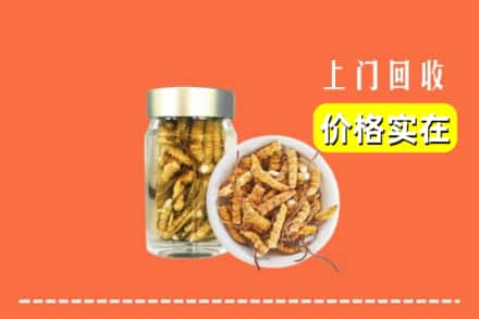 伊春市丰林回收散虫草