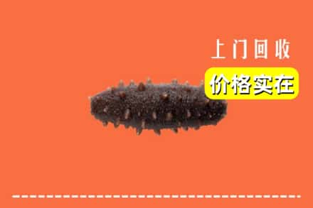 伊春市丰林回收海参